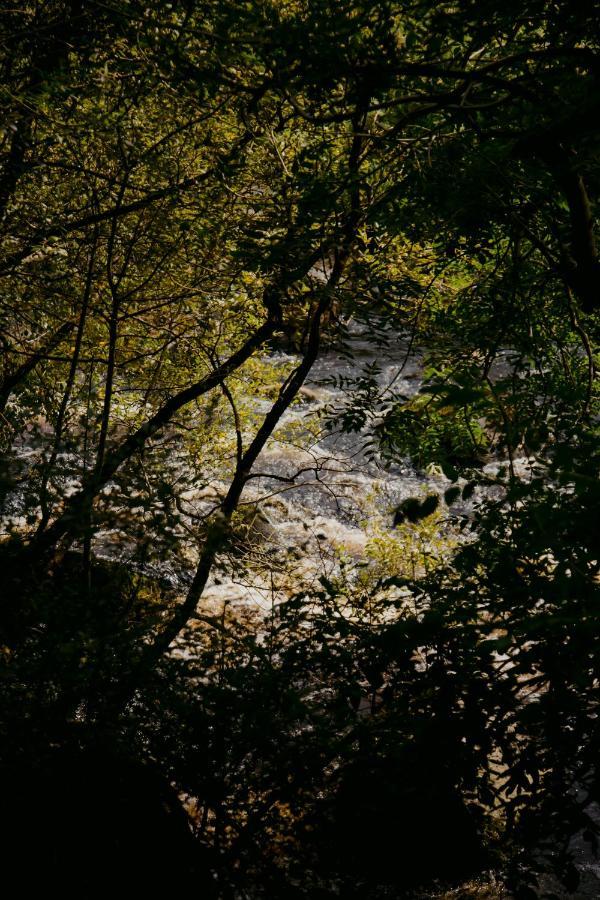 The Deerstone Luxury Eco Hideaway Βίλα Laragh Εξωτερικό φωτογραφία