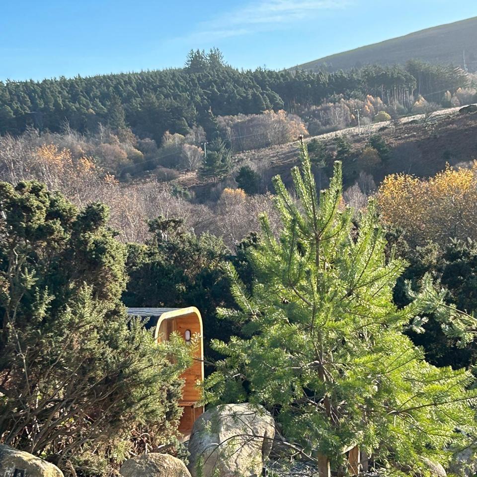 The Deerstone Luxury Eco Hideaway Βίλα Laragh Εξωτερικό φωτογραφία