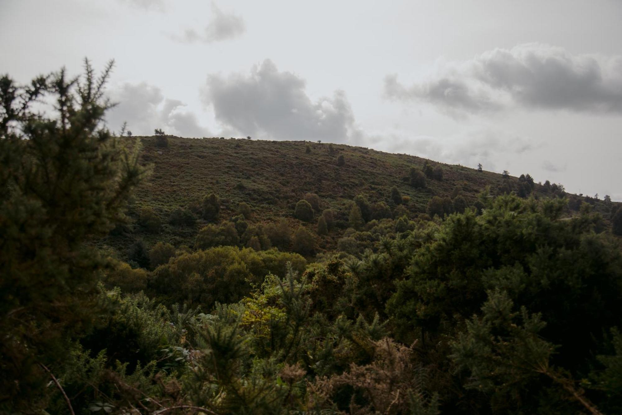 The Deerstone Luxury Eco Hideaway Βίλα Laragh Εξωτερικό φωτογραφία